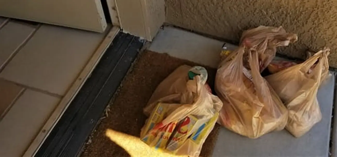 Rodent Dropping Cleanup